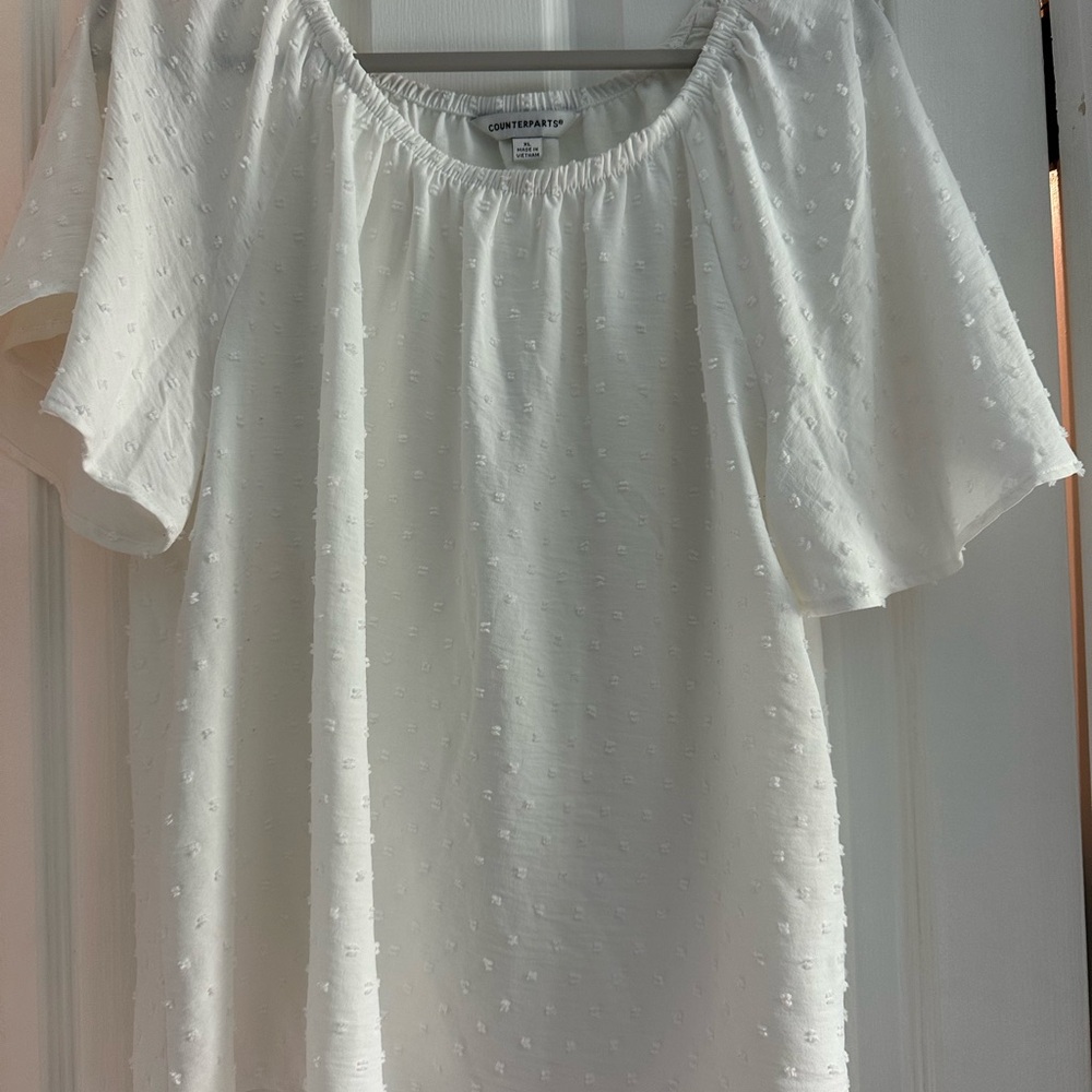 Counterparts White and Blue Smocked Short Sleeve Blouse
